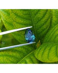 3.22 ct. loose Australian blue sapphire, pear-shaped, deep blue-green, held by tweezers against green leaves.