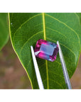 Multicolored tourmaline gemstone held by tweezers on a green leaf.
