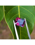 Vibrant red and greenish-blue watermelon tourmaline, 3.55 ct, held by tweezers on a green leaf.