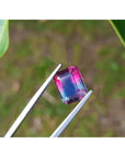 Multicolored tourmaline held between tweezers with a natural background.