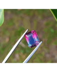 Natural watermelon tourmaline, 3.55 ct, vibrant red mint and greenish blue, held by tweezers.