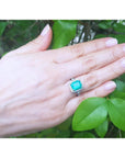 Hand wearing a Colombian emerald engagement ring with green leaves in the background.