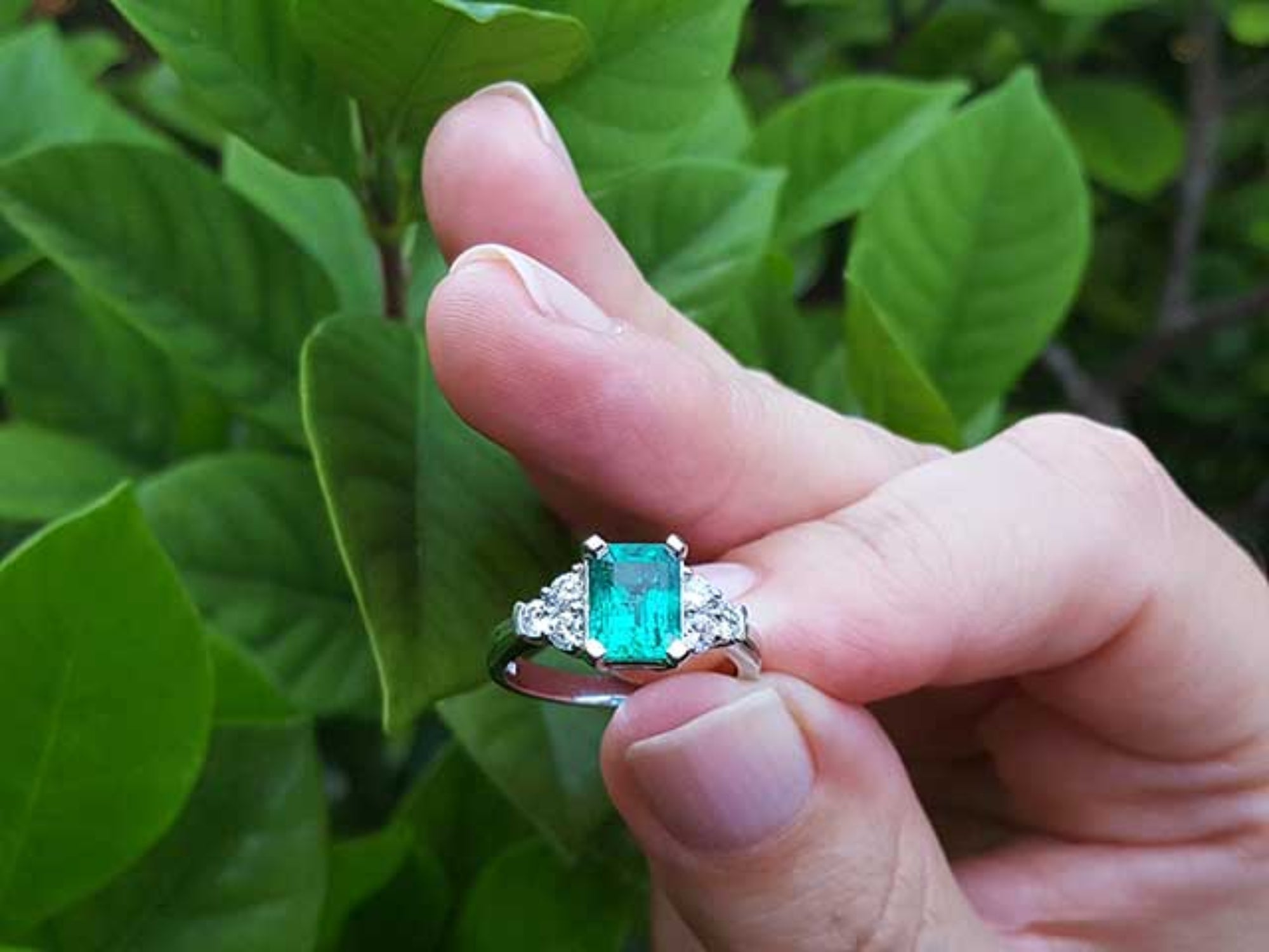 Hand holding a natural colombian emerald ring against a green leafy background.
