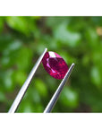 Loose natural ruby oval cut certified, front side table and crown are visibles tweezers holding over background forest.