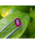 2.12 carat loose natural oval cut ruby gemstone with rich red color, held by tweezers against green leaves.