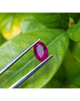 2.12 carat loose natural oval cut ruby gemstone with rich red color, held by tweezers against green leaves.