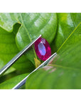 2.12 carat loose natural oval-cut ruby gemstone with rich red color held by tweezers against green leaves.