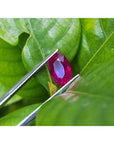 2.12 carat loose natural oval-cut ruby gemstone with rich red color held by tweezers against green leaves.