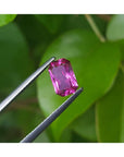 1.38 ct GIA certified loose natural purplish pink sapphire, fancy emerald-cut, held by tweezers.