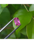 GIA certified 1.38 ct. fancy cut natural purplish pink sapphire held by tweezers against green leaves.