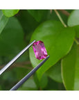 GIA certified 1.38 ct. fancy cut natural purplish pink sapphire held by tweezers against green leaves.
