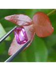 1.38 ct GIA certified purplish pink sapphire, modified fancy emerald-cut, held by tweezers.