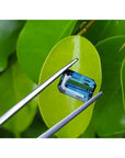 5.05 ct GIA certified deep blue-green emerald cut sapphire held by tweezers against green leaves.