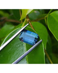 Deep blue-green emerald cut sapphire held by tweezers against green leaves.