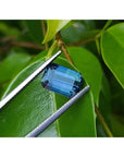 Deep blue-green emerald cut sapphire held by tweezers against green leaves.