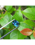 4.52 ct untreated deep blue-green emerald cut sapphire held by tweezers against green leaves.