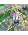 Colorful gemstone held by tweezers against a natural background