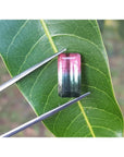 Emerald cut 6.11 ct natural loose watermelon tourmaline with bluish-green and red-orange colors on a leaf.