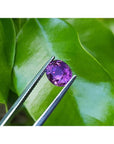 2.59 ct natural pink sapphire, intense vivid oval cut, held by tweezers against green leaves.