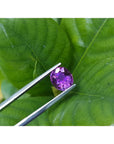 2.59 ct natural intense vivid pink sapphire, oval cut, held by tweezers against green leaves.