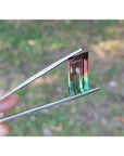 A natural watermelon tourmaline held by tweezers with a blurred natural background.