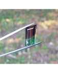 A natural tourmaline held by tweezers with a blurred natural background.