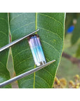 Rectangular bicolor watermelon tourmaline, pink, green, and soft pink, held by tweezers over a leaf.