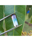 Rectangular bicolor watermelon tourmaline, pink, green, and soft pink, held by tweezers over a leaf.