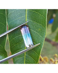 Rectangular bicolor watermelon tourmaline, pink, green, and soft pink, held by tweezers over a leaf.