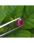 1.59 carat natural loose ruby grs certified Burma oval cut, held by tweezers on three leaves