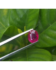 1.59 carat natural loose ruby grs certified Burma oval cut, held by tweezers on three leaves