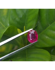1.59 carat GRS certified Burma oval cut ruby, medium deep red, held by tweezers against green leaves.