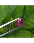 1.59 carat GRS certified Burma oval cut ruby, medium deep red, held by tweezers against green leaves.