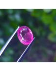 Oval cut loose natural ruby Mozambique, table and crown visibles held by tweezers with a blurred green background