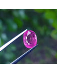 Sparkling 2.38 carat oval cut natural Mozambique ruby, held by tweezers against a green background.