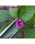 Sparkling 2.38 carat oval cut Mozambique ruby held by tweezers against green leaves.