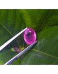 Oval cut loose natural ruby Mozambique, held by tweezers on a green leaf background