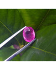 Sparkling 2.38 carat oval cut natural Mozambique ruby held by tweezers against green leaves.