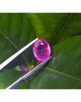 Sparkling 2.38 carat oval cut natural Mozambique ruby held by tweezers against green leaves.