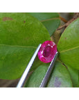 1.31 ct. oval-cut natural Burma ruby gemstone, vivid red, held by tweezers against green leaves.