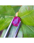 Vivid red 1.31 ct. oval-cut natural Burma ruby gemstone held by tweezers against green leaves.