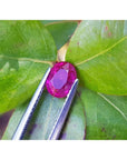Vivid red 1.31 ct. oval-cut natural Burma ruby gemstone held by tweezers against green leaves.