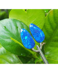 Blue opal earrings on a green leaf background