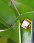 2.96 ct. Loose Natural Sapphire Yellow Madeira Emerald cut Vibrant Intense Color