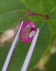 Burmese Natural Loose Ruby 1.68 ct. Oval Cut for Sale in USA