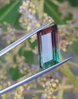 Brazil Watermelon tourmaline