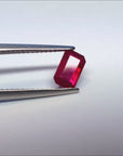 Ruby Burmese for sale