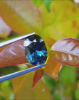 3.04 ct. Natural Australian Loose Sapphire Oval cut Sparkling Deep Blue for Sale in USA