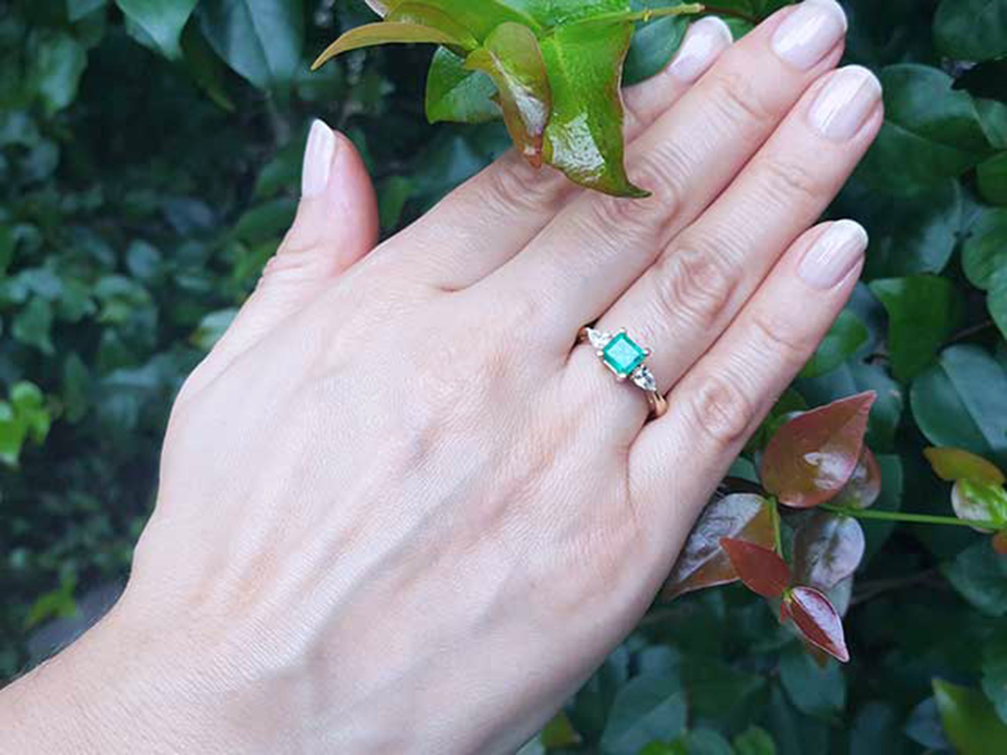 Hand wearing an emerald three stone ring against a green leafy background.
