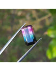 A brazilian watermelon tourmaline held between tweezers with a natural background.
